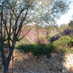 maison-en-ruine-a-la-campagne